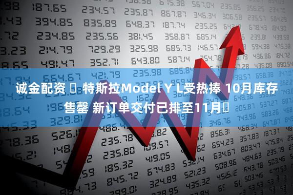 诚金配资 ​特斯拉Model Y L受热捧 10月库存售罄 新订单交付已排至11月​